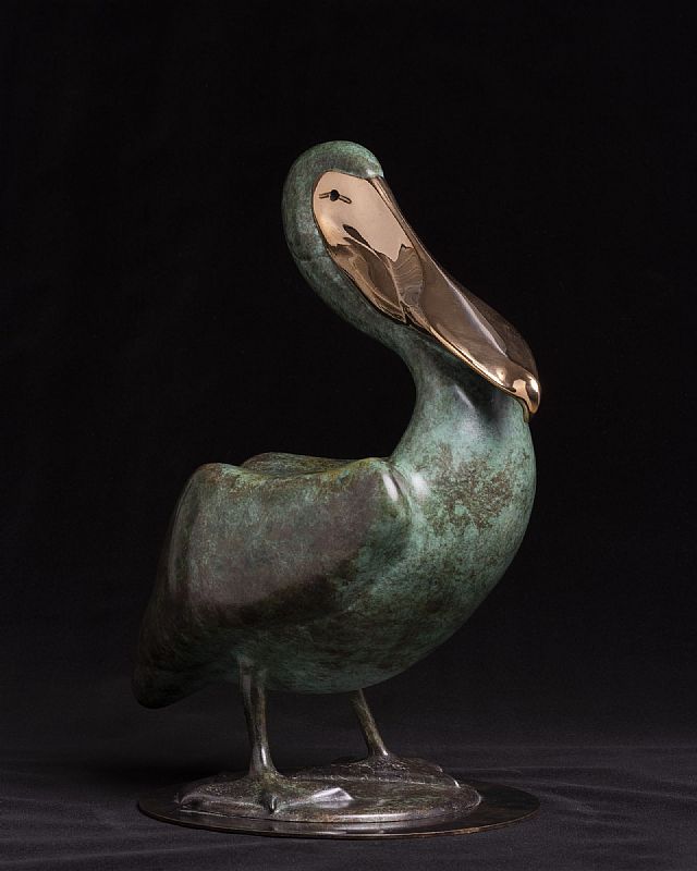Pelican by Vadim  Tuzov