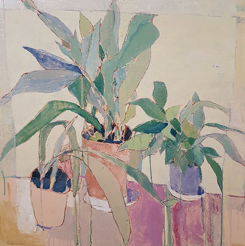 Mark P Cullen - Plants in Mother in Law Tongue